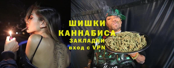 тгк Нея