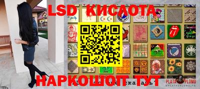 гашик Берёзовский