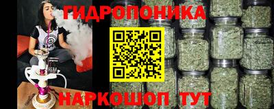 гашик Берёзовский