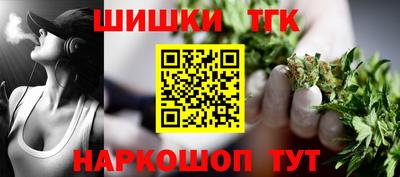 гашик Берёзовский