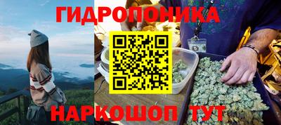 гашик Берёзовский