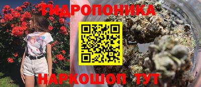 спайс Гусиноозёрск