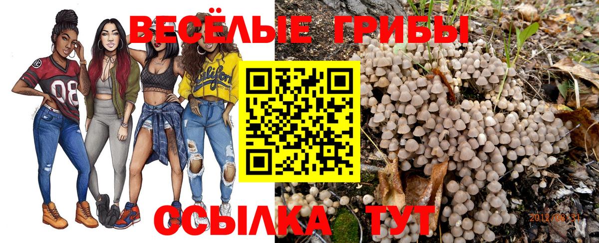 Галлюциногенные грибы MAGIC MUSHROOMS Ковров