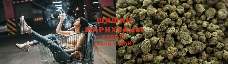 дарнет шоп  Ковров  Конопля OG Kush 