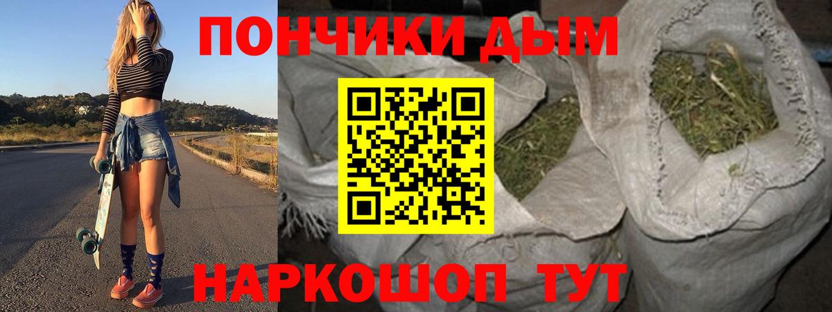 Шишки марихуана конопля Ковров